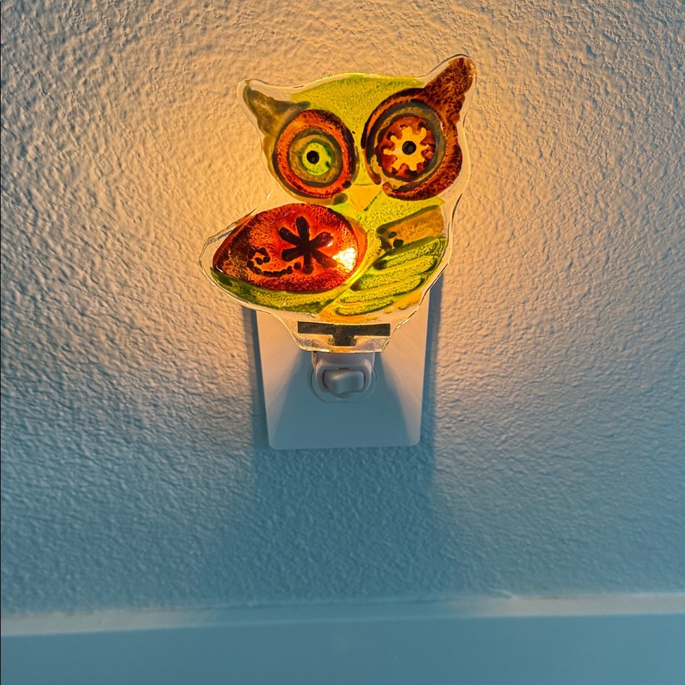 Vintage Handpainted Owl Nightlight! - Picture 2 of 4